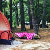 Review photo of Cape Henlopen State Park Campground by aubrey P., July 9, 2018
