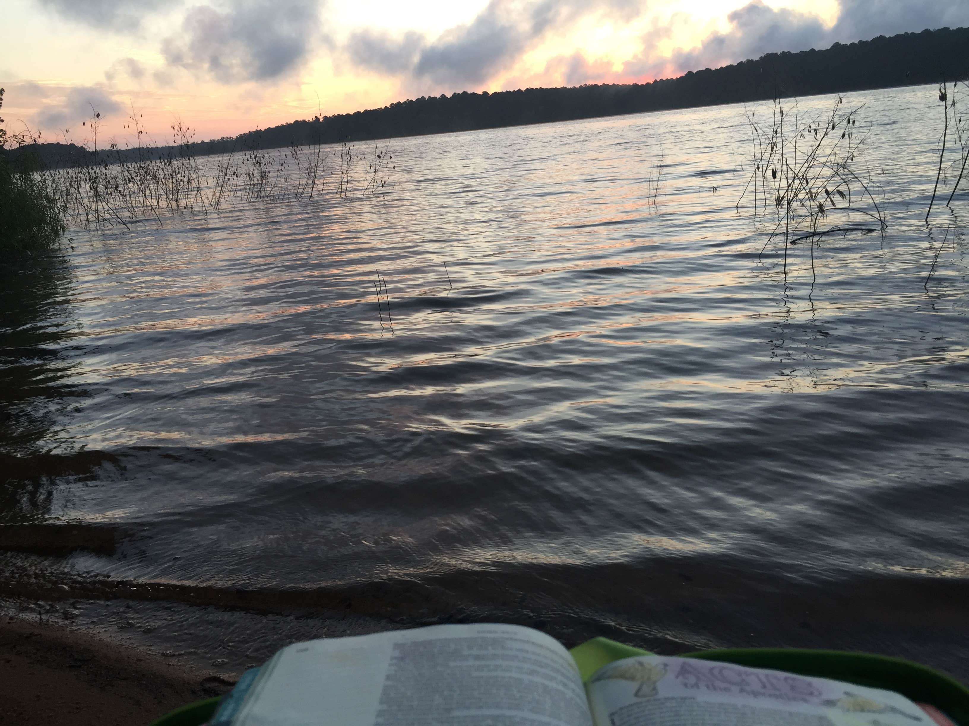Camper submitted image from Big Hart Campground - 5