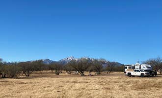 Camping near Sonoita Camping on Winery Row : Rancho del Nido, Sonoita, Arizona