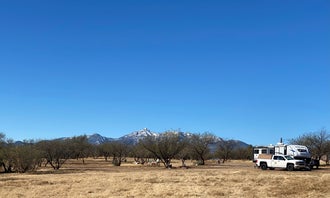 Camping near Kentucky Camp Cabin And Headquarters Building: Rancho del Nido, Sonoita, Arizona