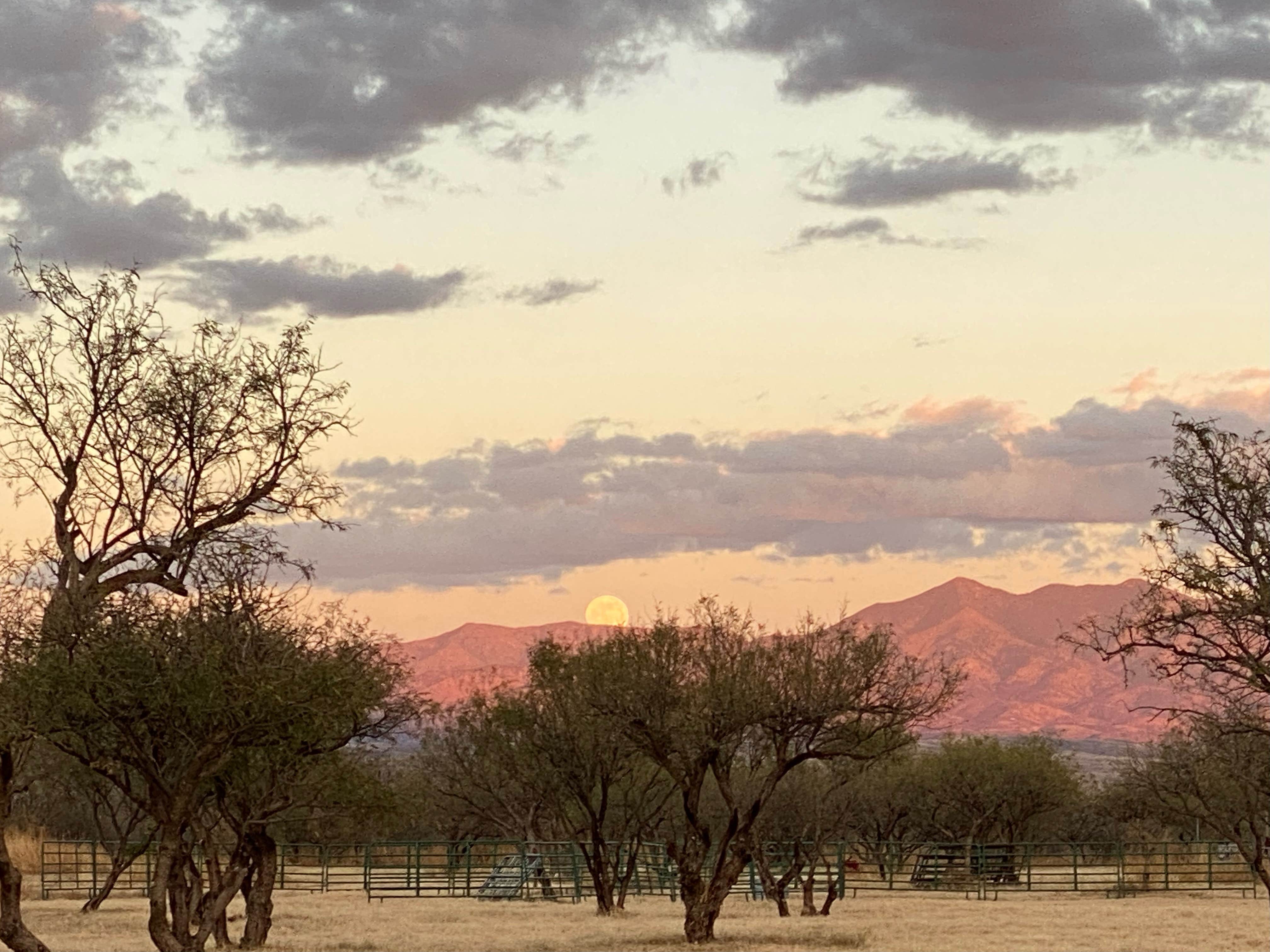 Camper-submitted photo at Rancho del Nido near Sonoita, AZ
