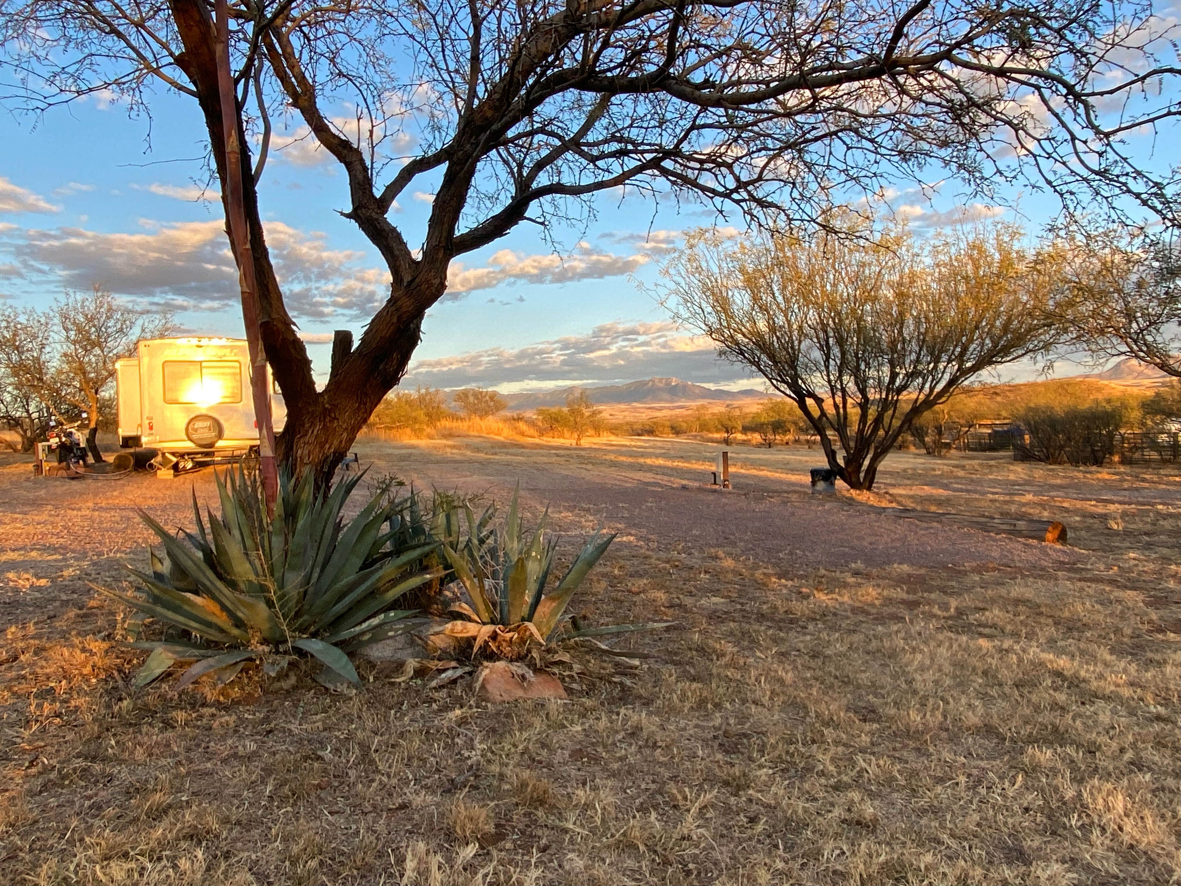 Camper-submitted photo at Rancho del Nido near Sonoita, AZ