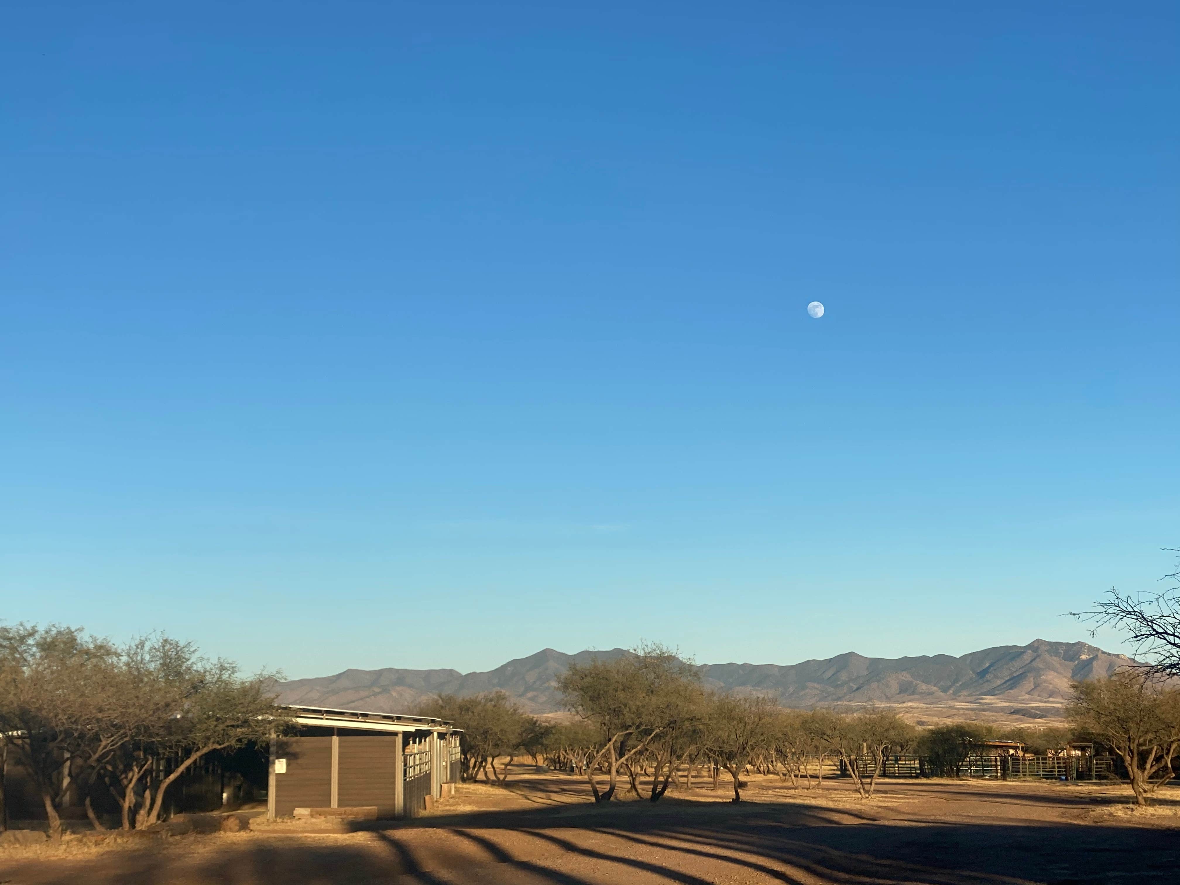 Camper-submitted photo at Rancho del Nido near Sonoita, AZ
