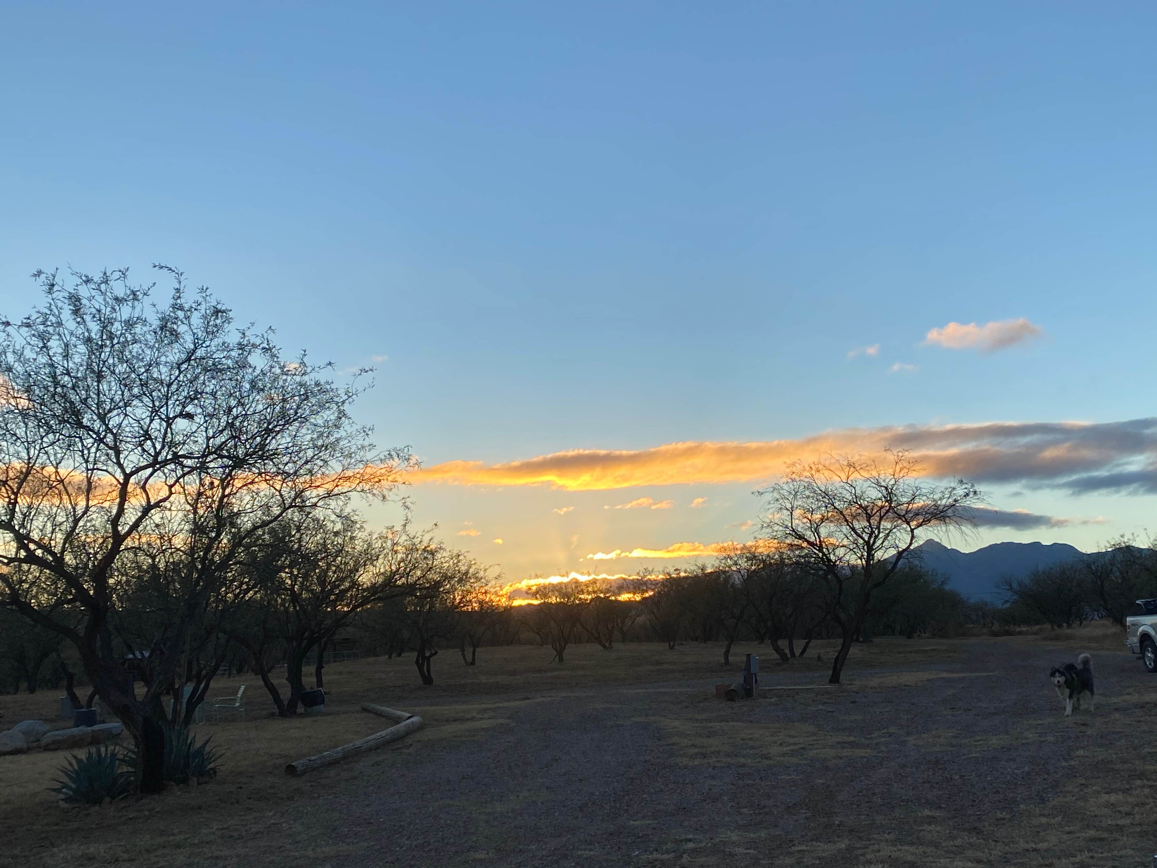 Camper-submitted photo at Rancho del Nido near Sonoita, AZ