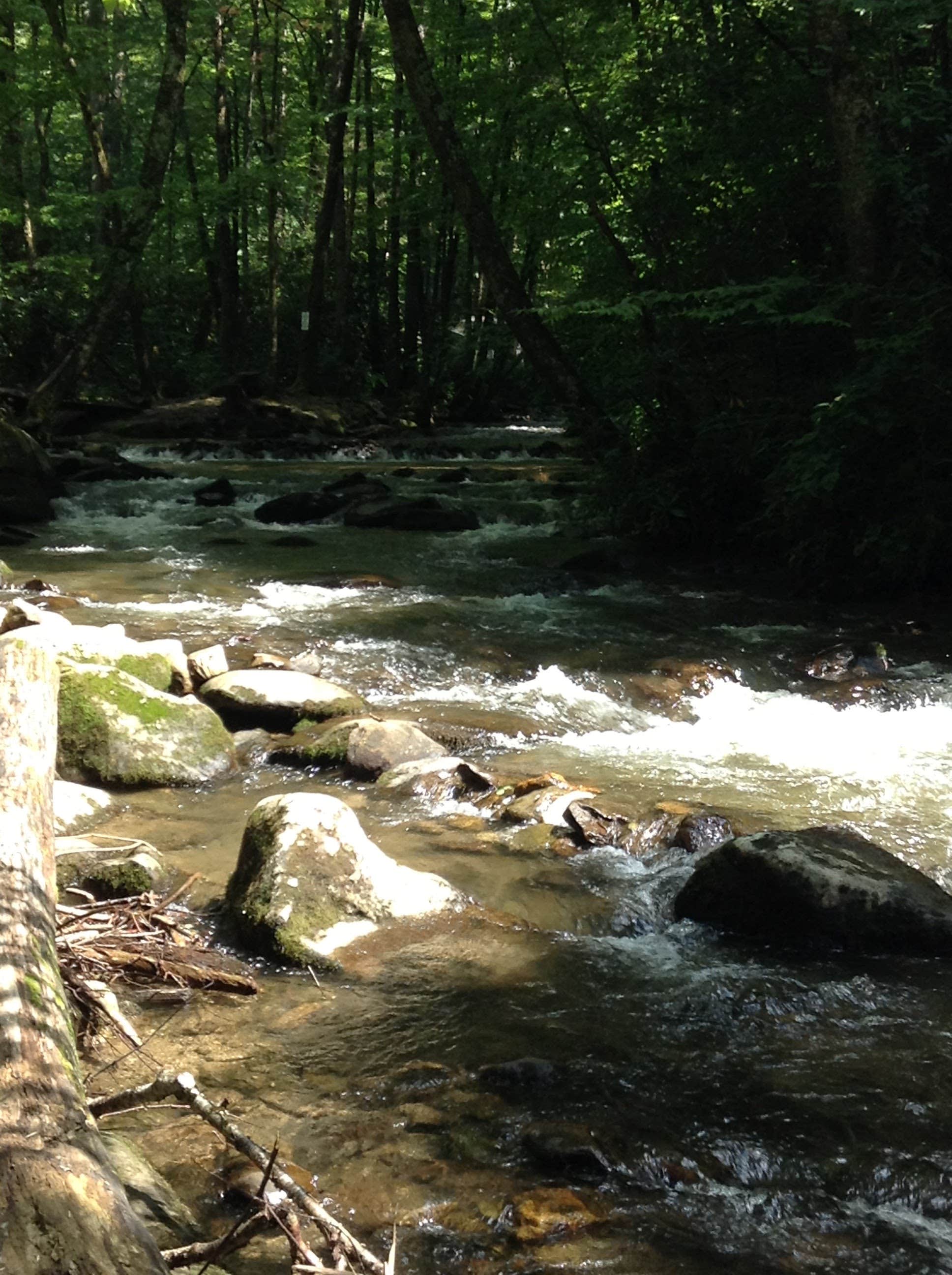 Camper-submitted photo at Indian Creek Campground near Sylva, NC