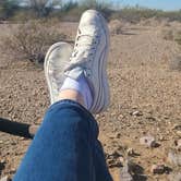 Review photo of Painted Rock Petroglyph Site And Campground by Makowski , January 4, 2022