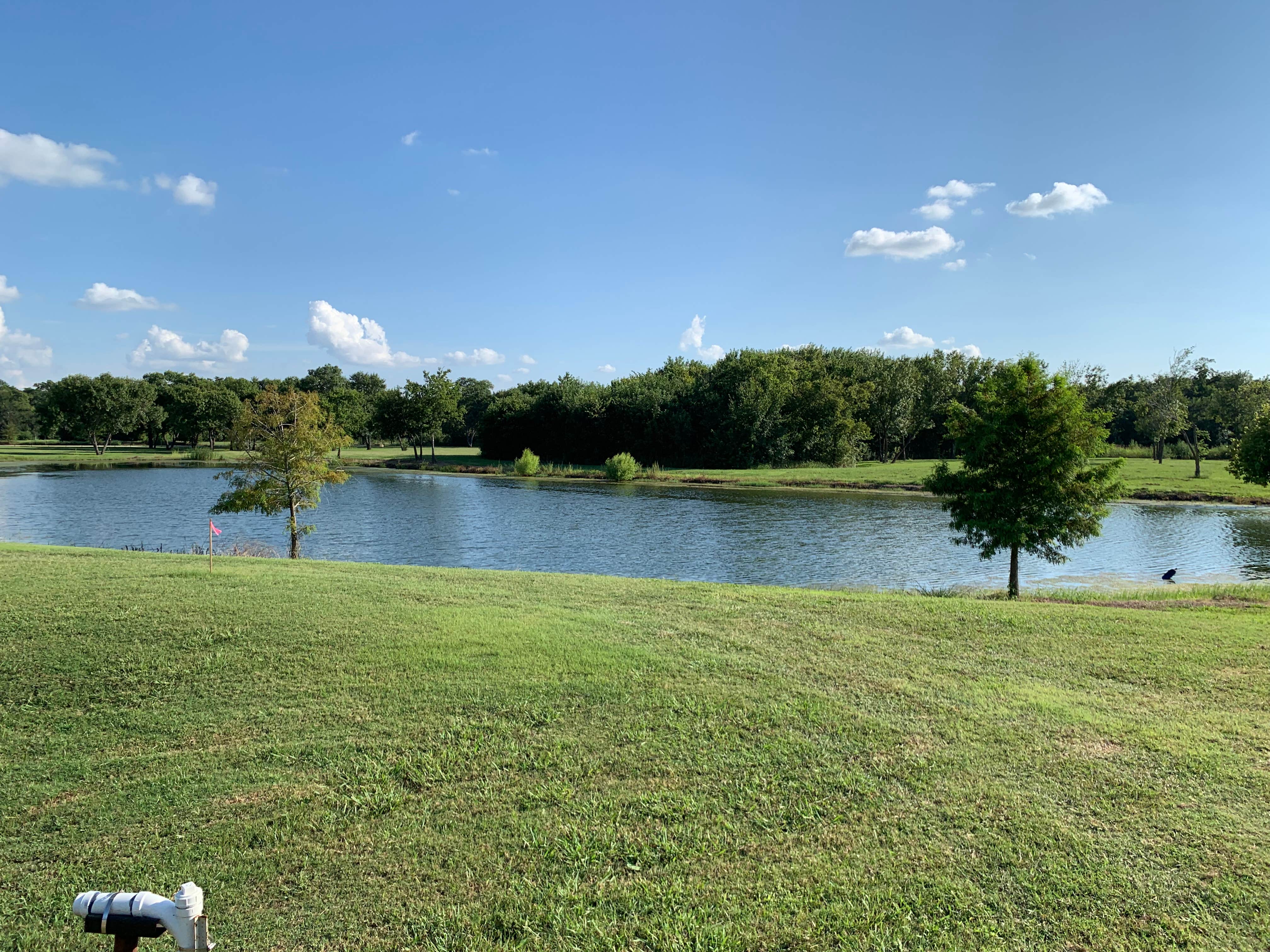 Camper-submitted photo at Plantation Place near Lavon Lake