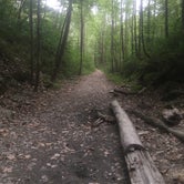Review photo of Zaleski State Forest by James W., July 9, 2018