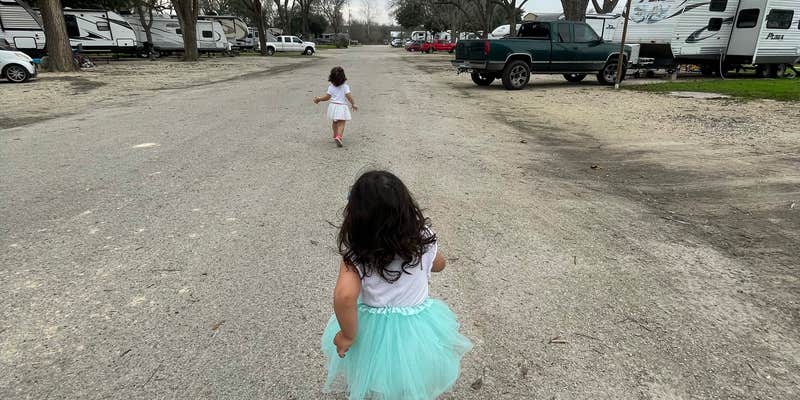 Camper submitted image from Pecan Park Riverside RV Park