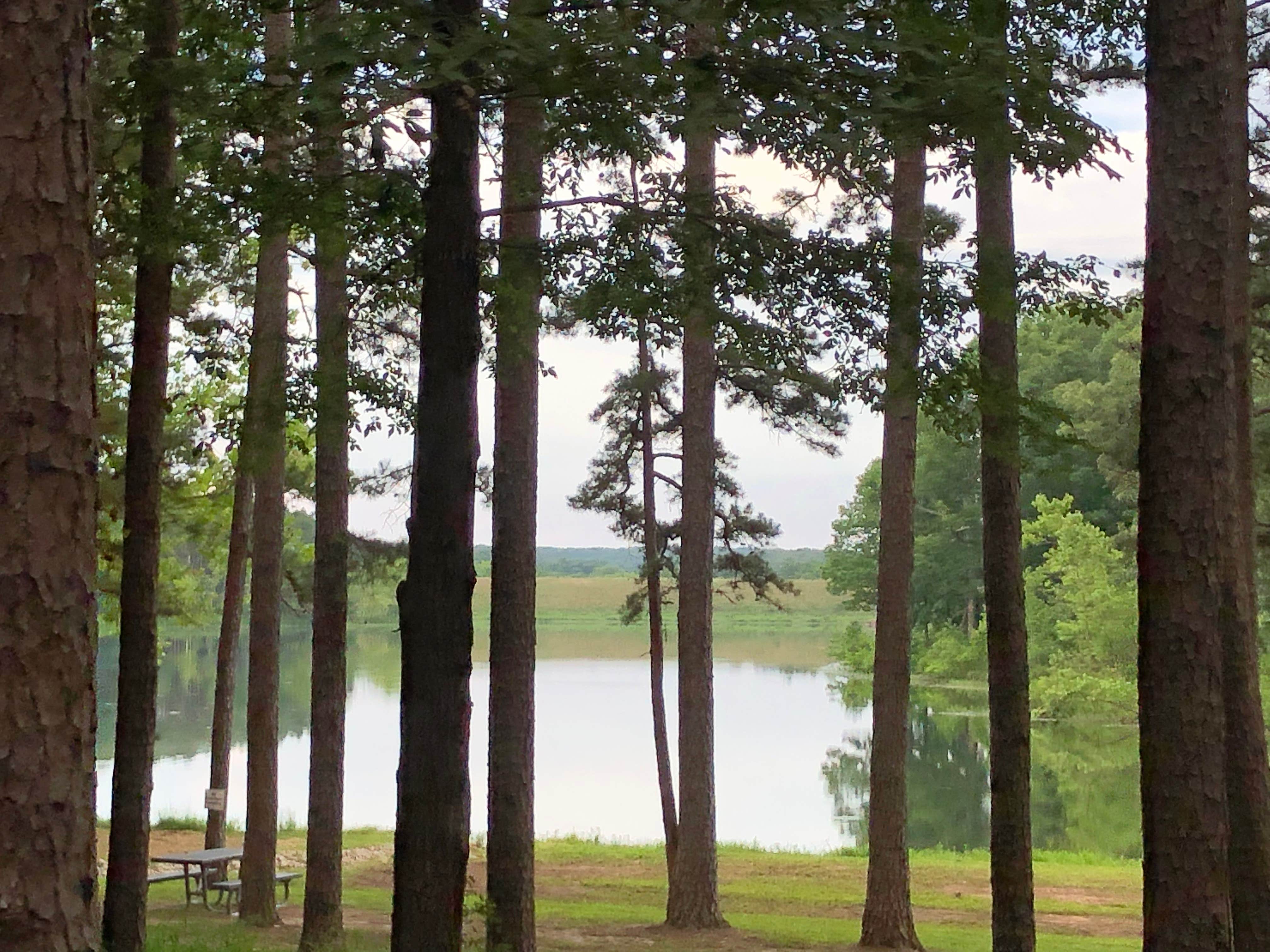 Camper-submitted photo at Fourche Lake Rec Area near Thayer, MO