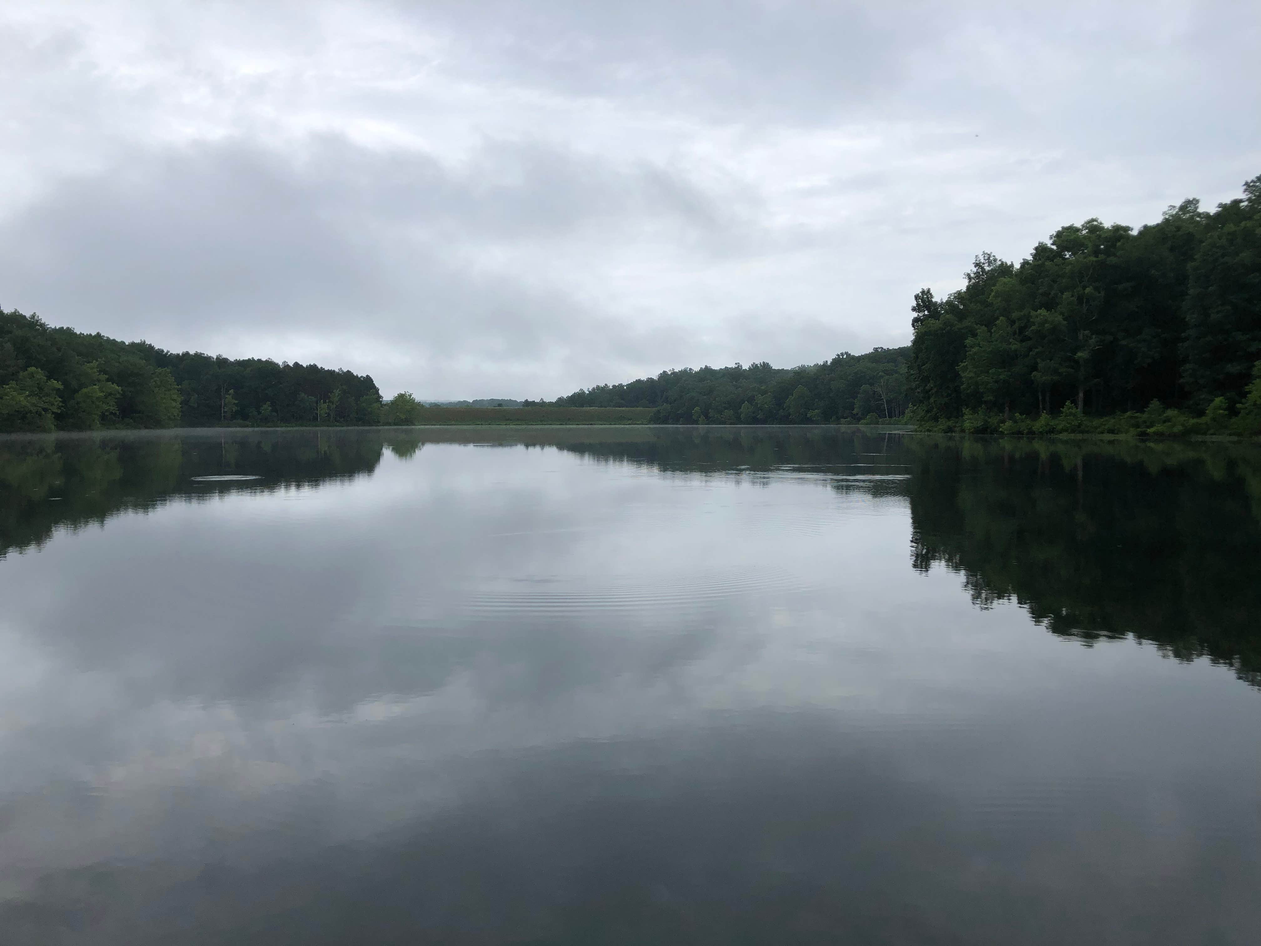 Camper-submitted photo at Fourche Lake Rec Area near Thayer, MO