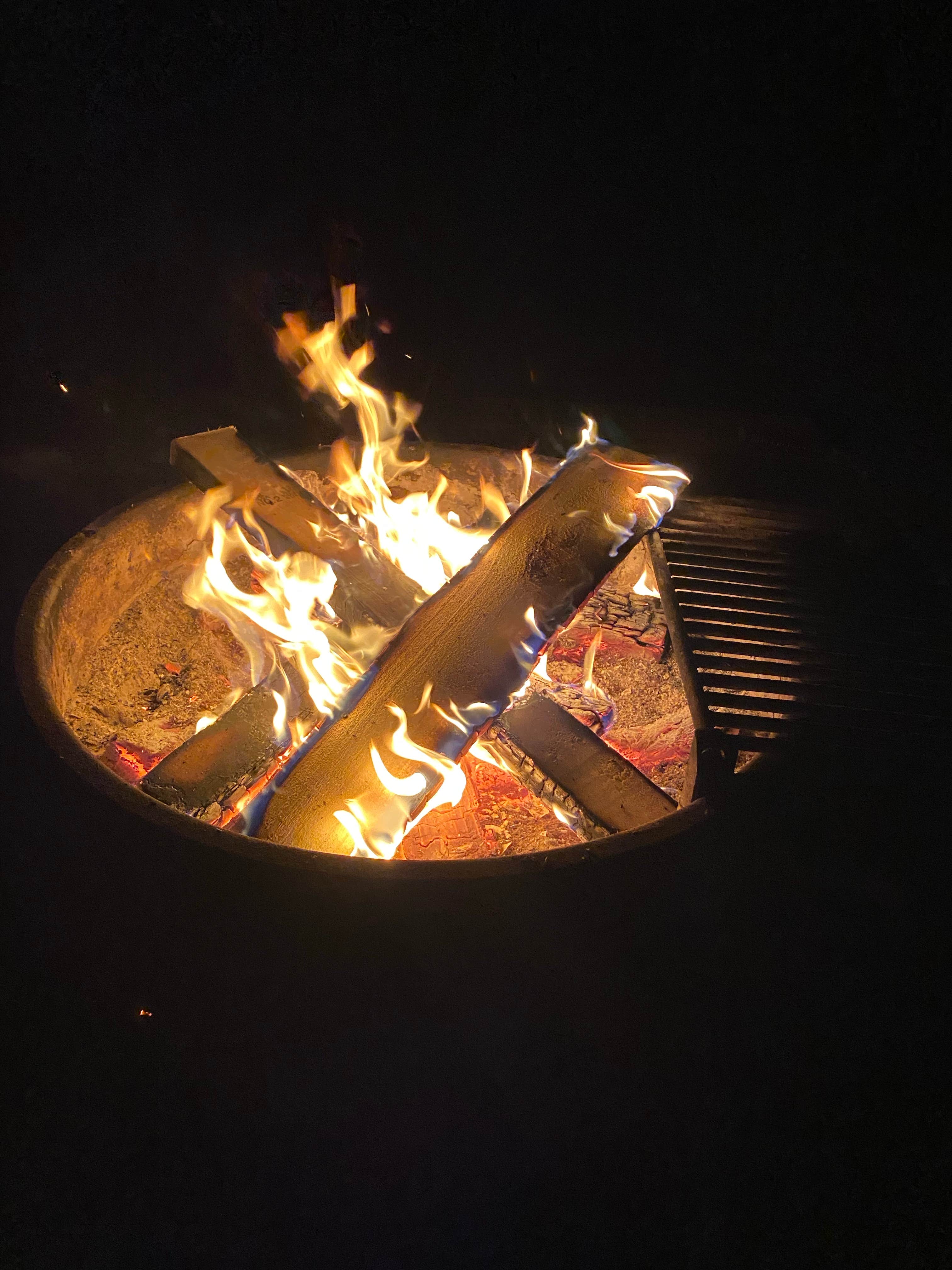 Camping near Elmwood Recreation Area: Santee Coastal Reserve, McClellanville, South Carolina