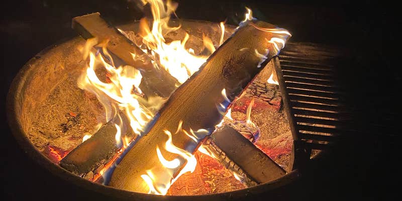 Camper submitted image from Santee Coastal Reserve