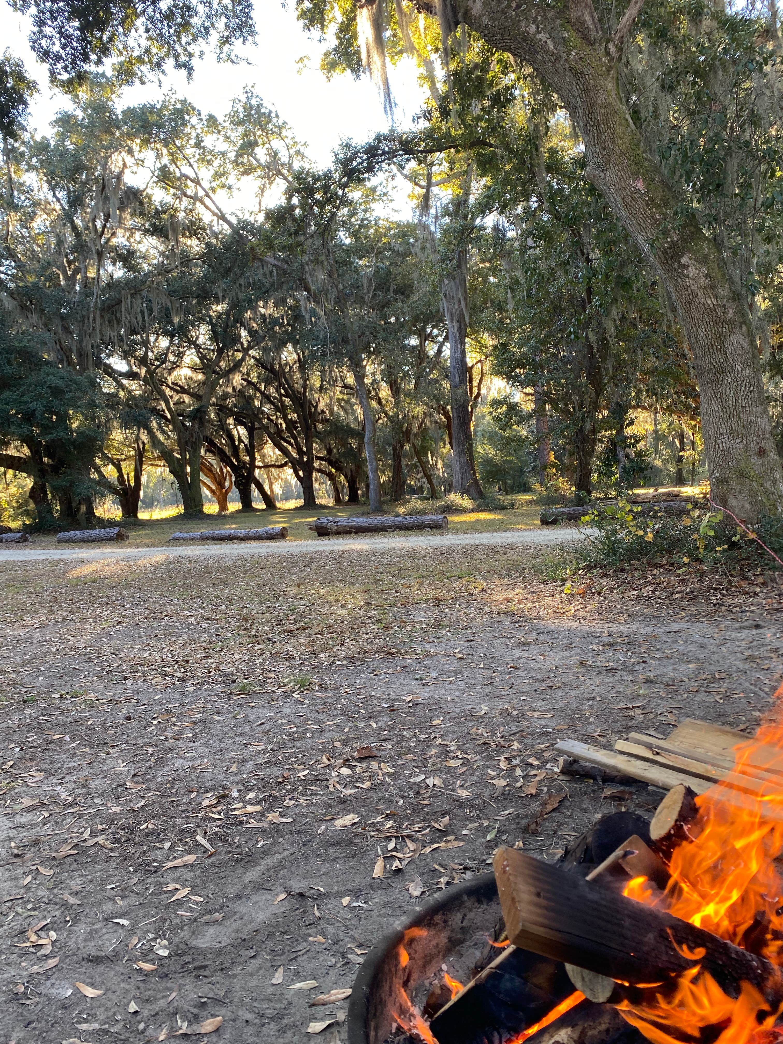 Camper-submitted photo at Santee Coastal Reserve near Pawleys Island, SC