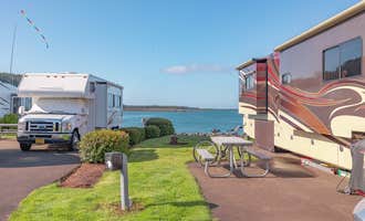 Camping near Windy Cove Campground (Section B): Winchester Bay RV Resort, Reedsport, Oregon