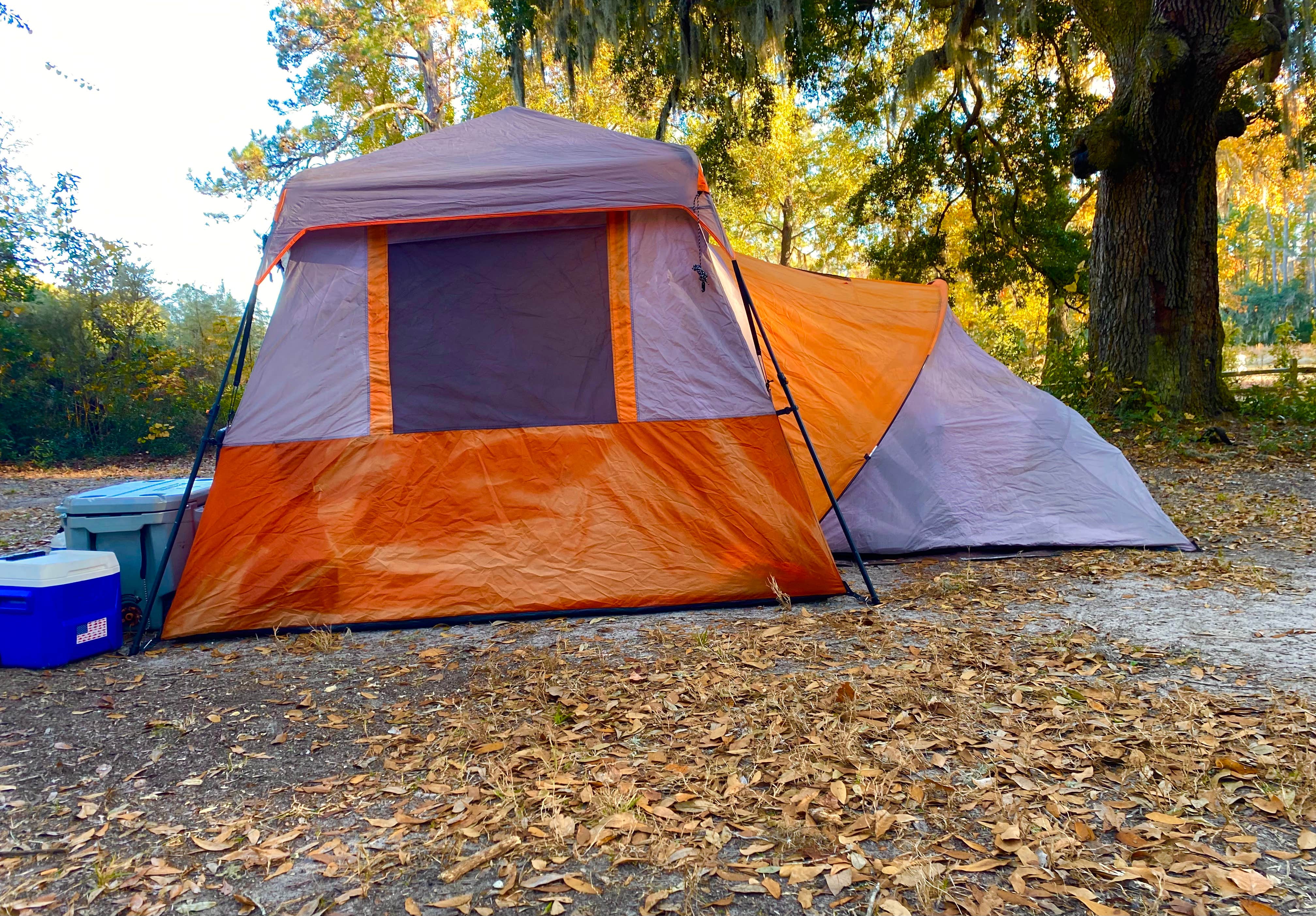 summer A.'s photo at Mount Pleasant-Charleston KOA near McClellanville, SC