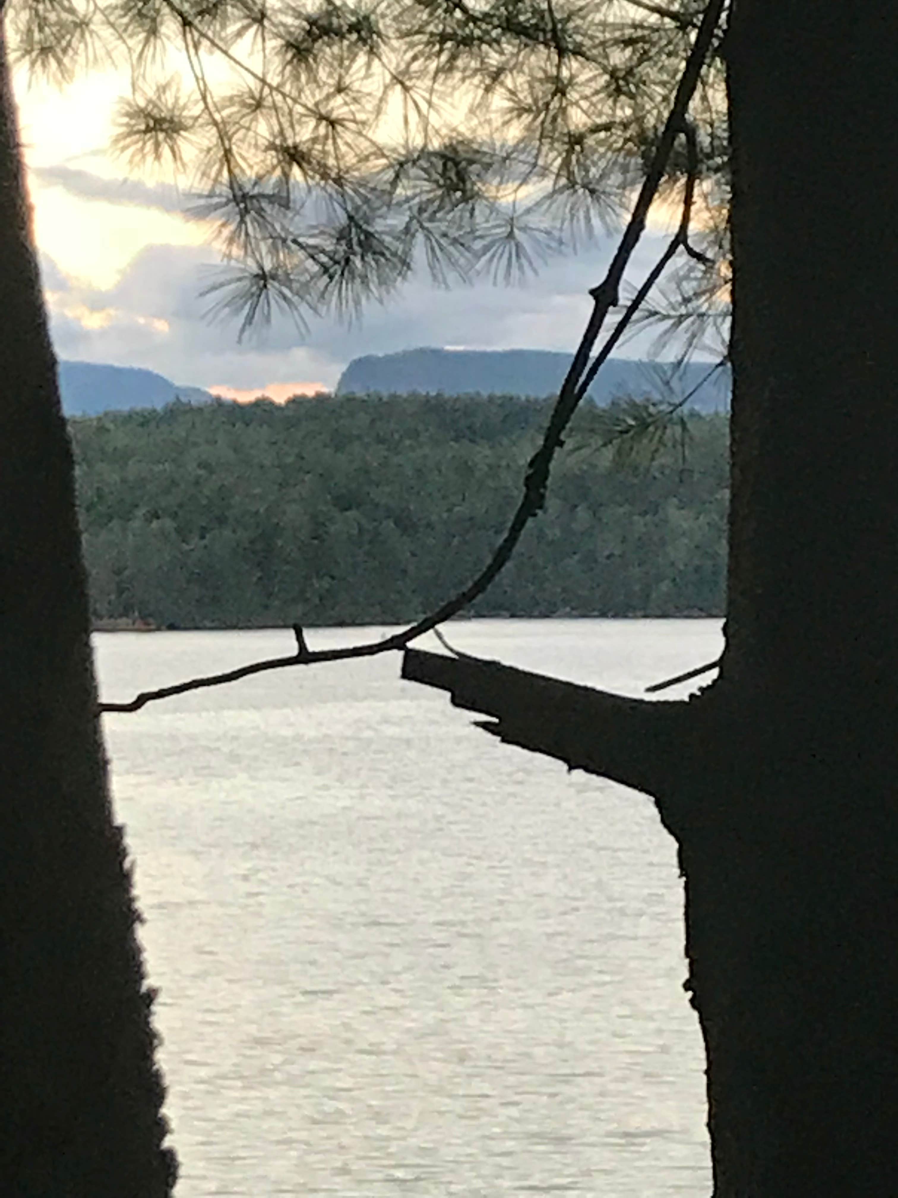 Camper submitted image from Canoe Landing Group Campsite — James River State Park - 2