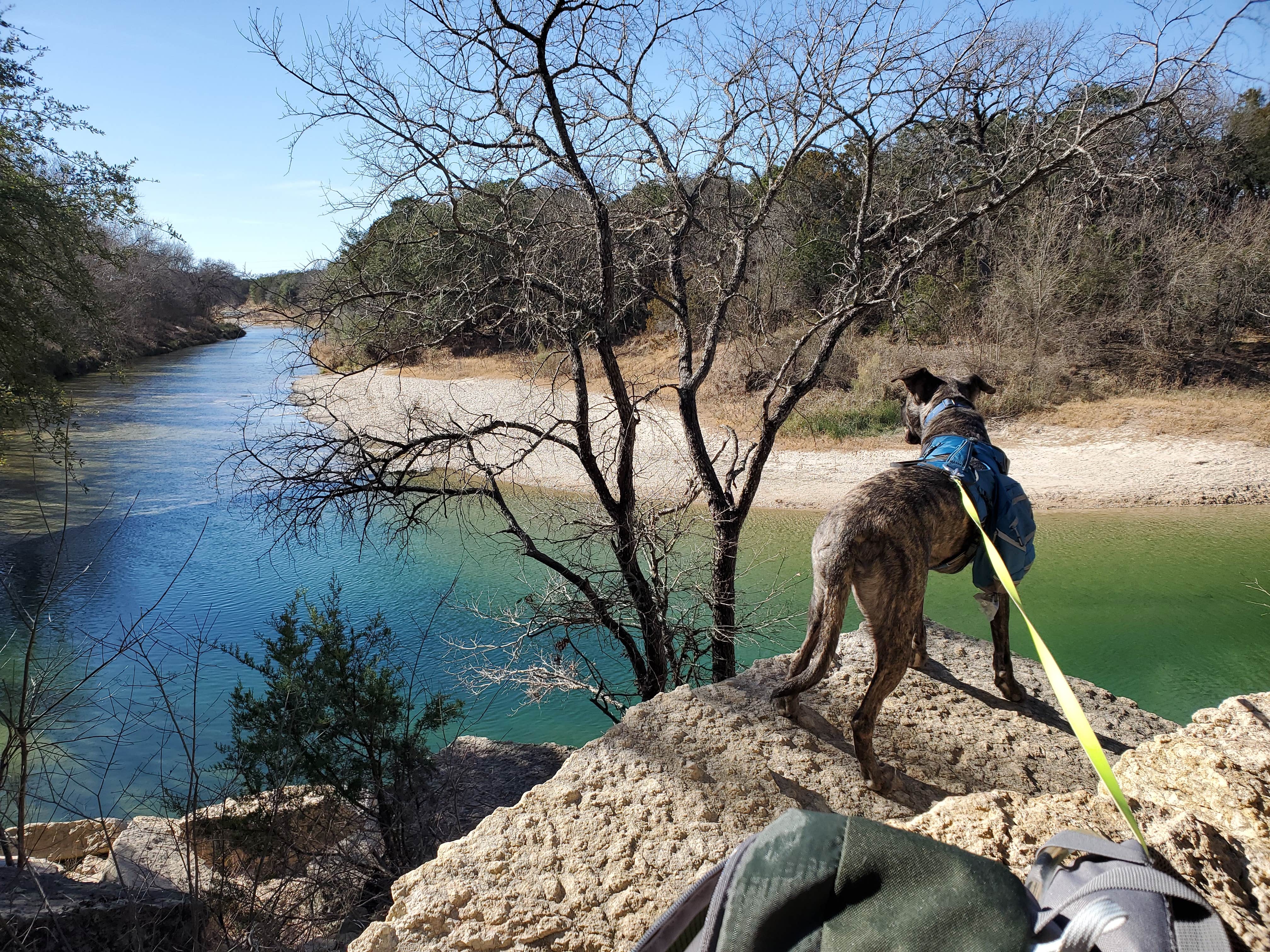 Veronica S.'s photo of camping with pets at Dinosaur Valley State Park Campground near Benbrook Lake