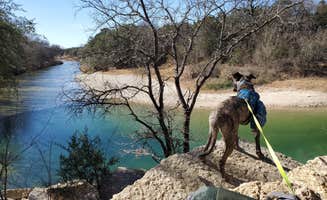 Veronica S.'s photo of camping with pets at Dinosaur Valley State Park Campground near Crowley, TX