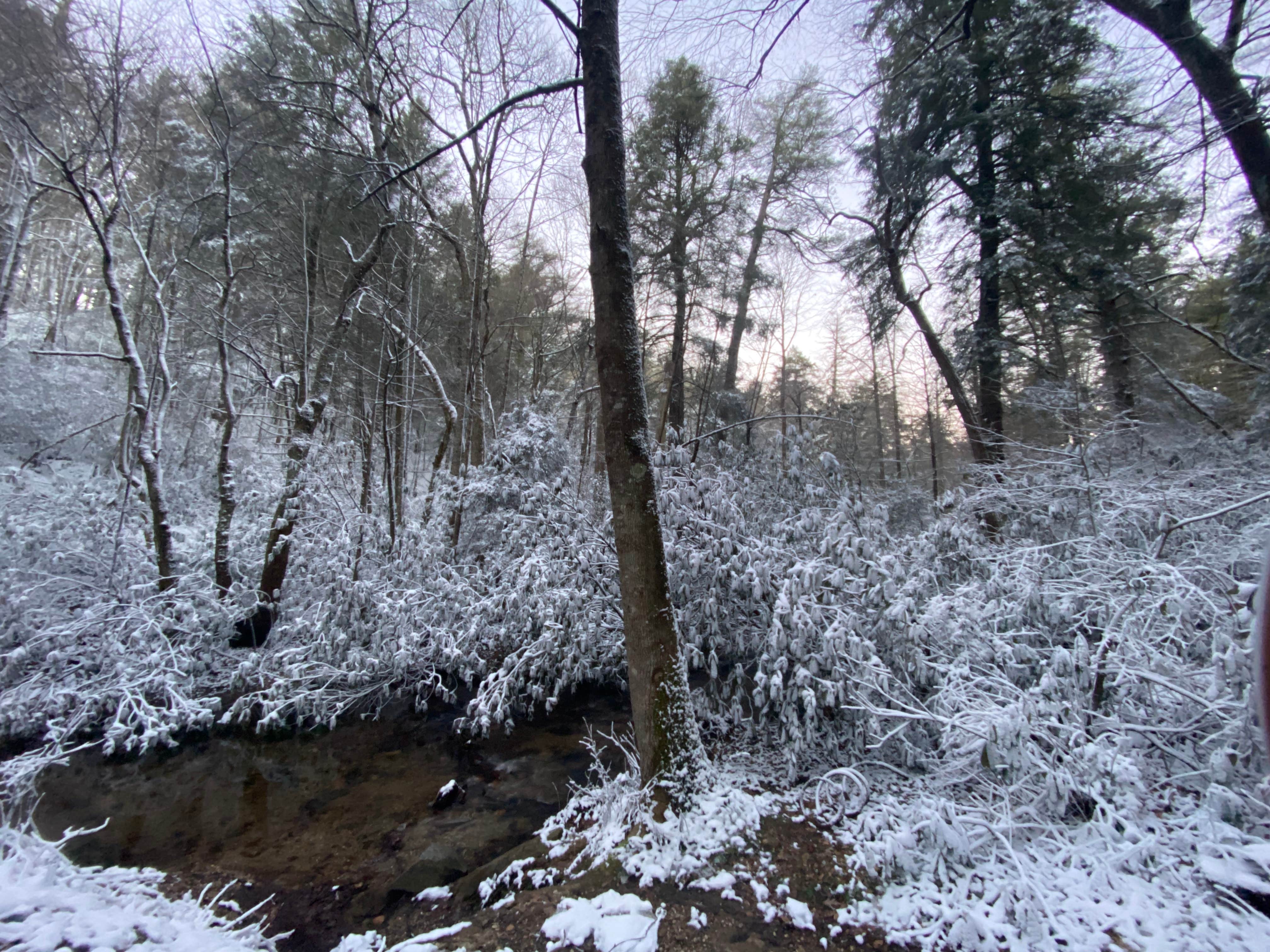 Camper-submitted photo at Three Forks Campground near Ellijay, GA