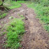 Review photo of Glen Campground — Point Reyes National Seashore by Lori A., January 5, 2022