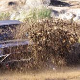 Review photo of Hollister Hills State Vehicular Recreation Area — Hollister Hills State Vehicular Recreation Area by Lori A., January 5, 2022