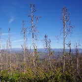 Review photo of Cow Mountain Rec Area Dispersed by Lori A., January 5, 2022