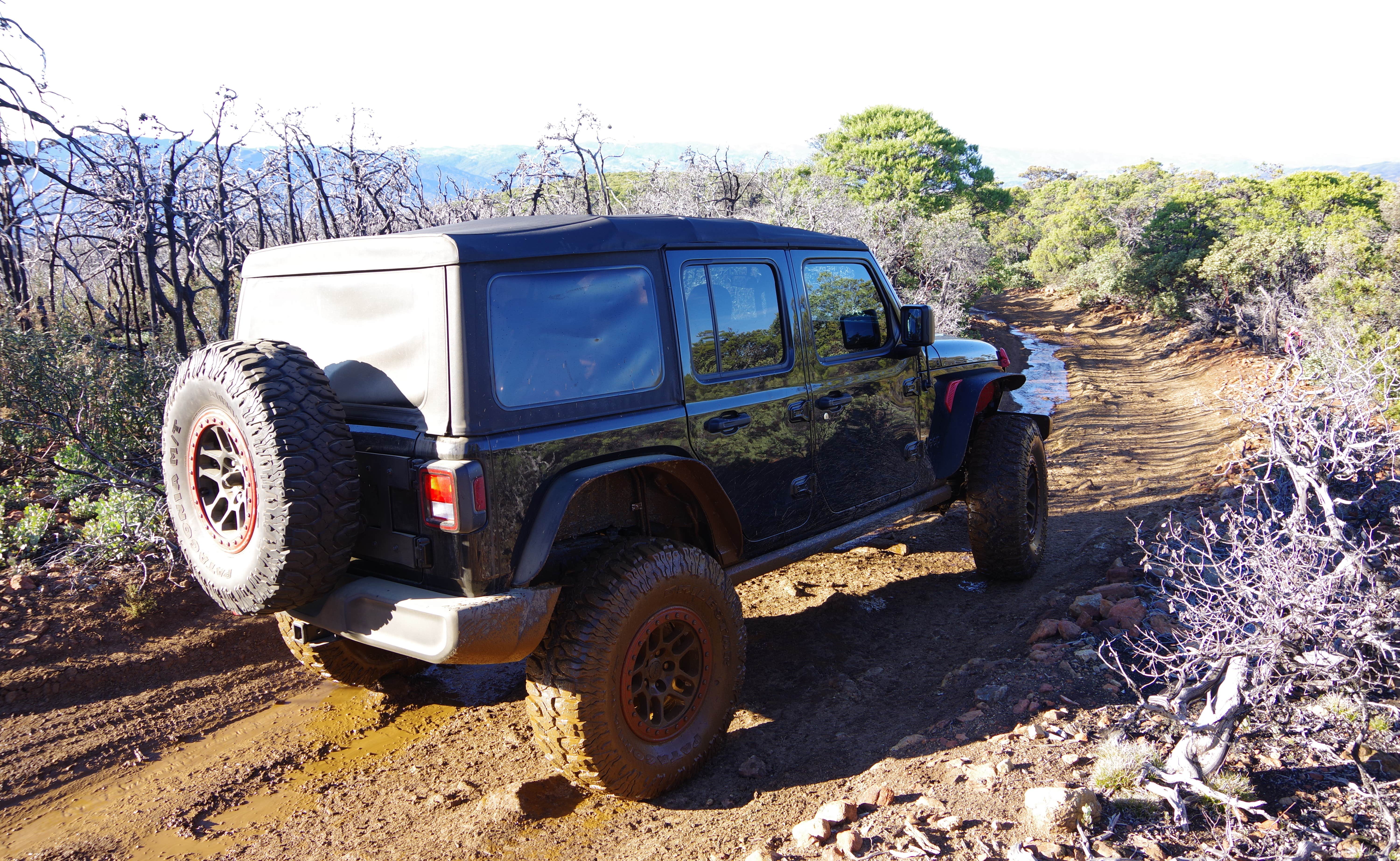 Camper-submitted photo at Cow Mountain Rec Area Dispersed near Sebastopol, CA