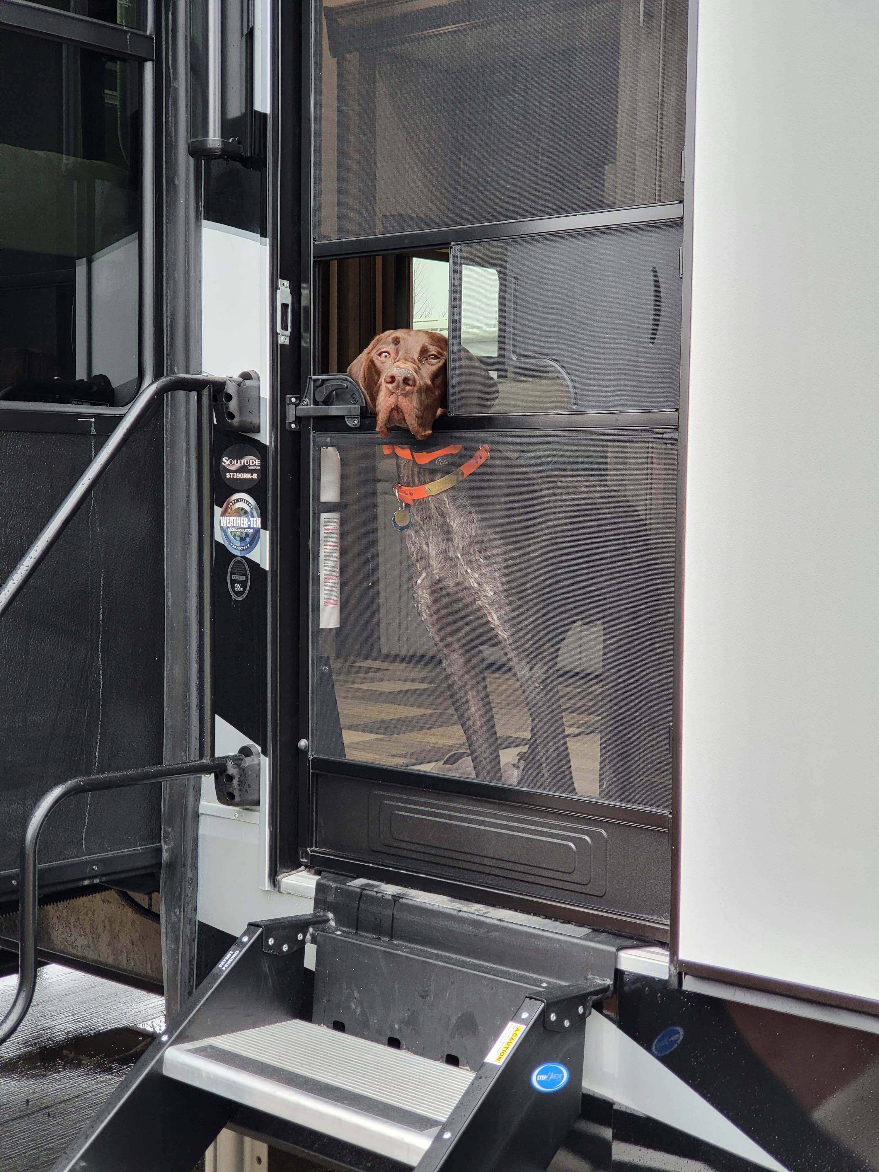 T S.'s photo of camping with pets at CrossRoads Coach Resort at the ROB near Hartsville, SC