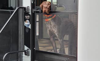 T S.'s photo of camping with pets at CrossRoads Coach Resort at the ROB near Sumter, SC