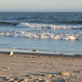 Review photo of Myrtle Beach State Park Campground by T S., January 5, 2022