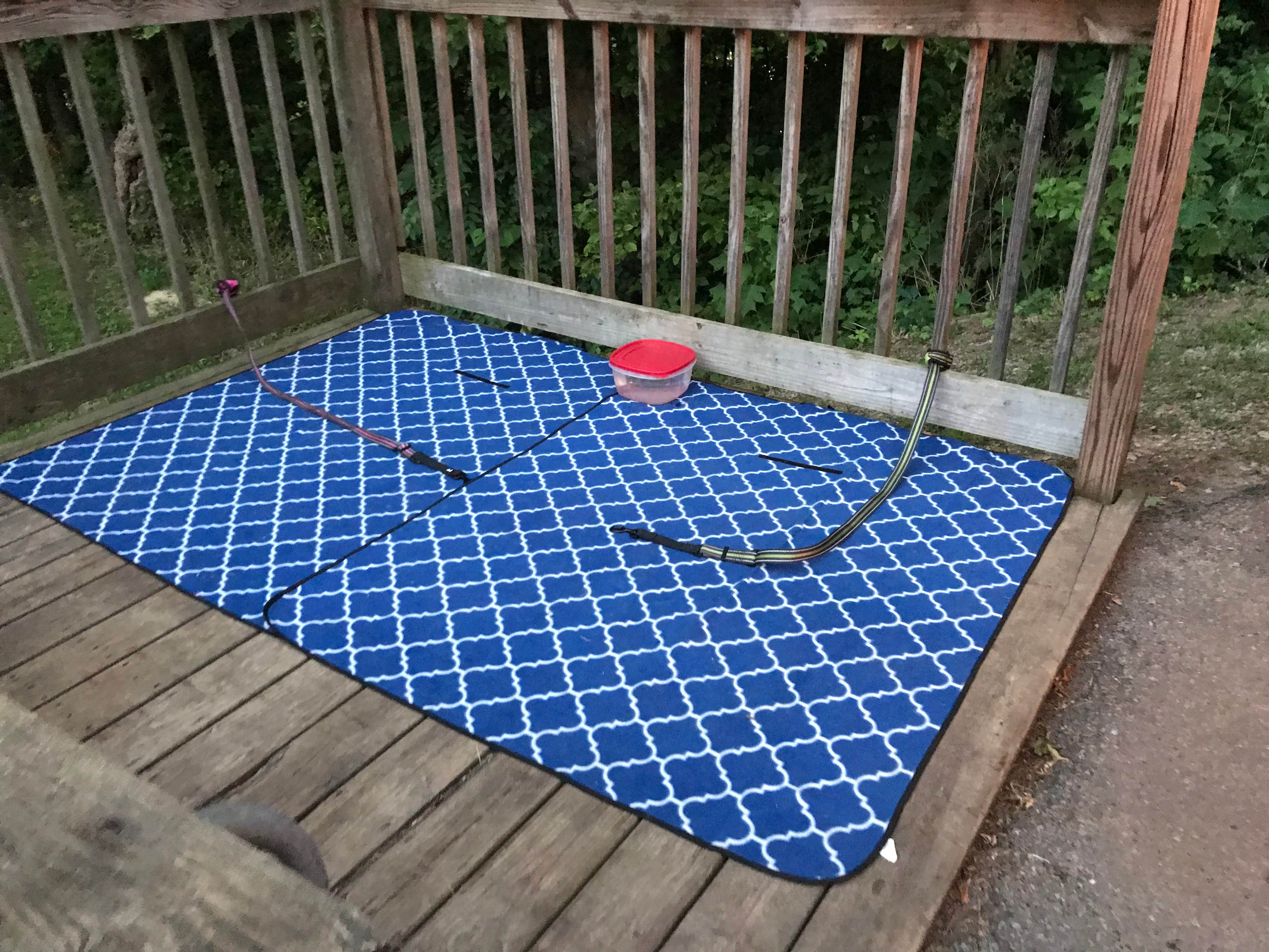 Shannon G.'s photo of camping with pets at Paint Creek State Park Campground near Paint Creek Lake