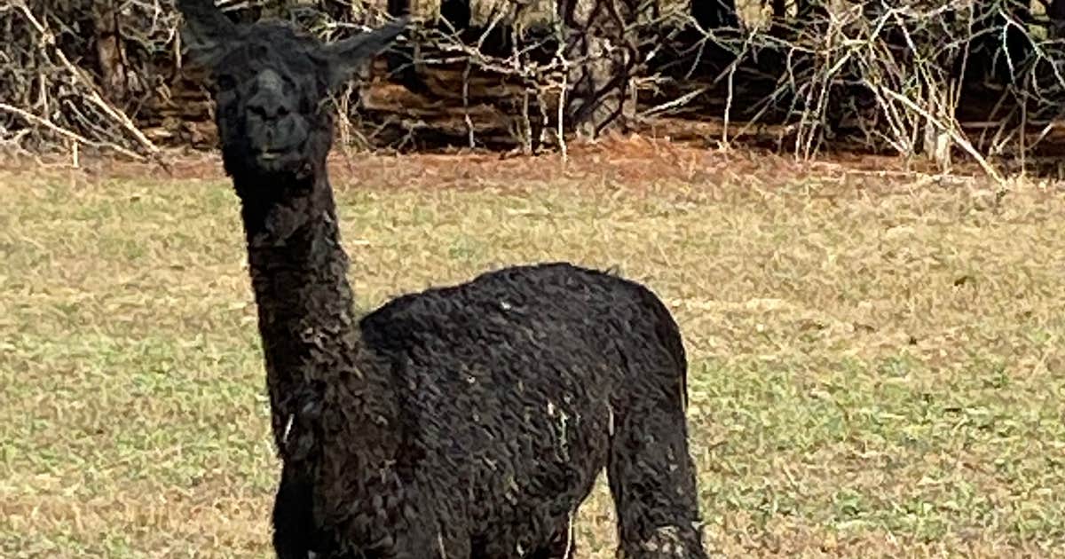 Camper-Submitted Photos of Hidden Forest RV Club