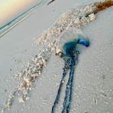 Review photo of Topsail Hill Preserve State Park Campground by Stacey , January 5, 2022