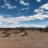 Review photo of Tanque Road Dispersed Camping Near Safford by Kristina B., January 5, 2022