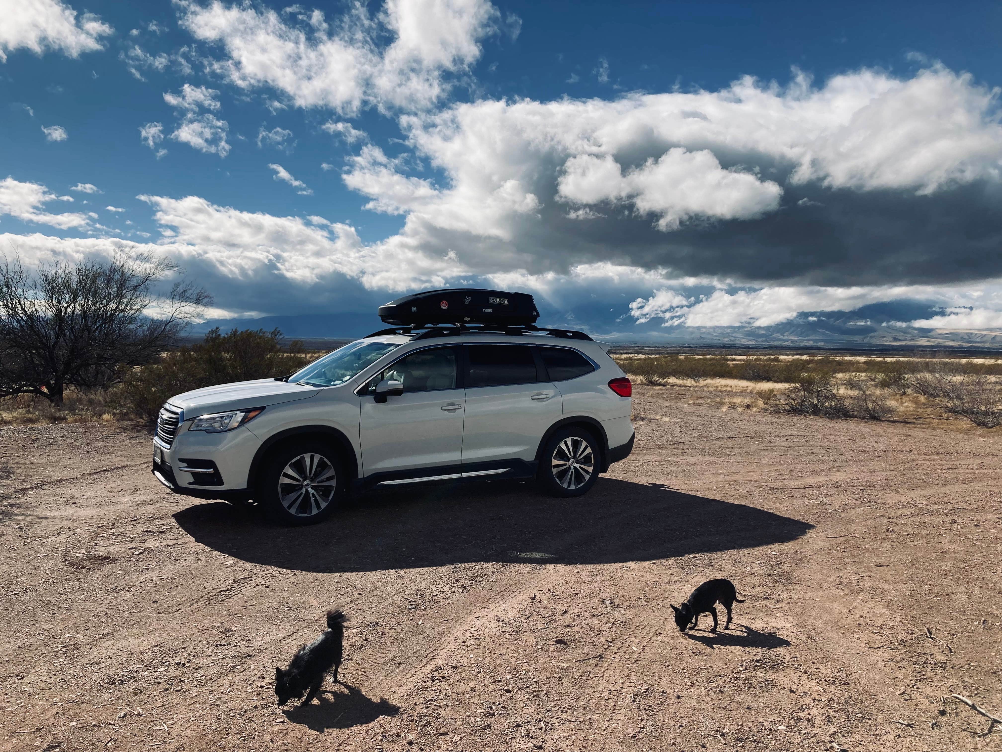 Kristina B.'s photo of camping with pets at Tanque Road Dispersed Camping Near Safford near Morenci, AZ