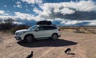 Kristina B.'s photo of camping with pets at Tanque Road Dispersed Camping Near Safford near Willcox, AZ