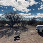 Review photo of Tanque Road Dispersed Camping Near Safford by Kristina B., January 5, 2022