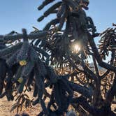 Review photo of Tanque Road Dispersed Camping Near Safford by Kristina B., January 5, 2022