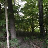 Review photo of Paint Creek State Park Campground by Shannon G., July 9, 2018