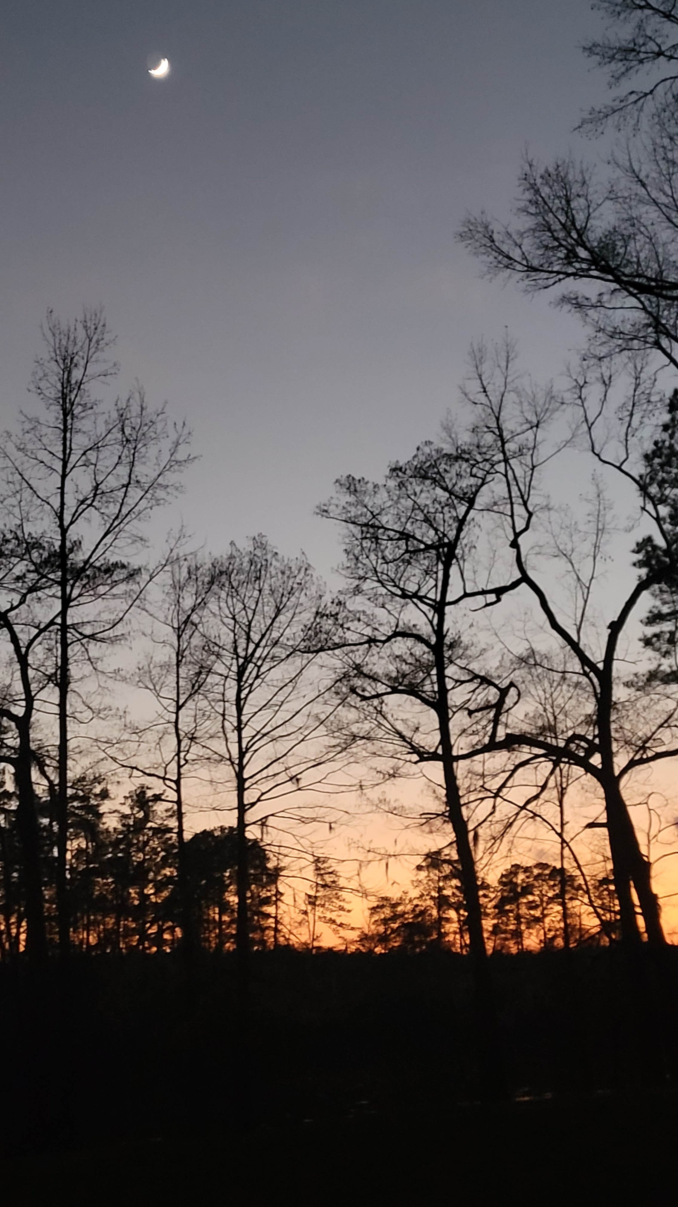 Camper-submitted photo at Bouton Lake Campground near Lufkin, TX