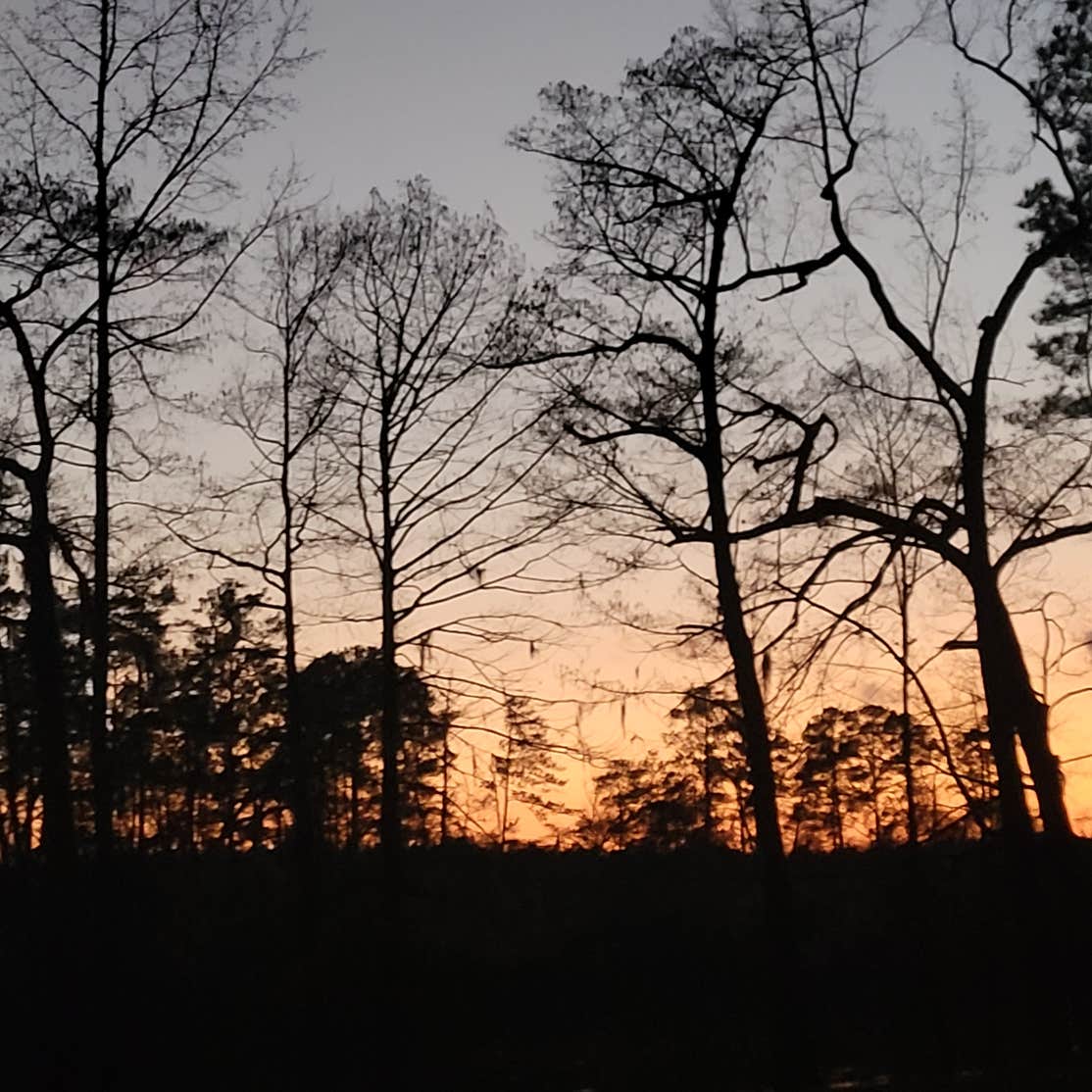 Bouton Lake Campground Zavalla, TX