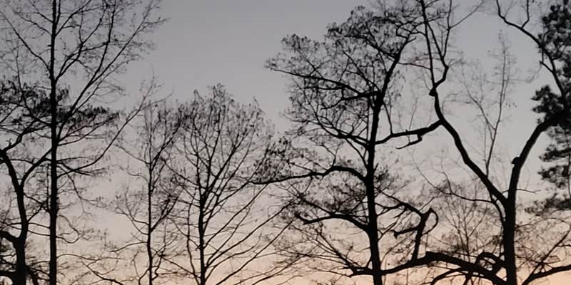 Camper submitted image from Bouton Lake Campground