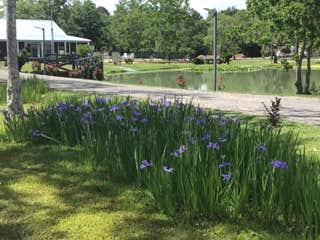 Camper-submitted photo at Outback Springs RV Resort near Ebro, FL