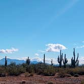 Review photo of BLM Ironwood Forest National Monument - Pipeline Rd Dispersed camping by Greg L., December 2, 2021