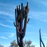 Review photo of BLM Ironwood Forest National Monument - Pipeline Rd Dispersed camping by Greg L., December 2, 2021