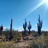 Review photo of BLM Ironwood Forest National Monument - Pipeline Rd Dispersed camping by Greg L., December 2, 2021