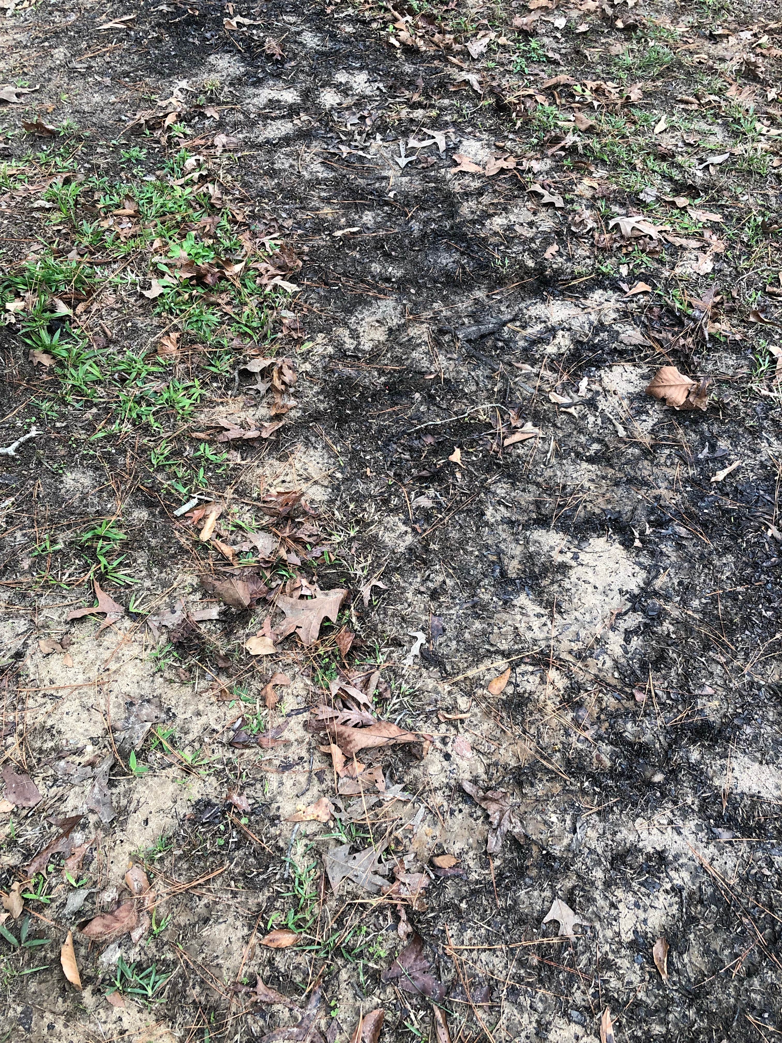 Camper-submitted photo at Dunns Falls Water Park near Quitman, MS