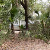 Review photo of Tomoka State Park Campground by Denise , January 6, 2022