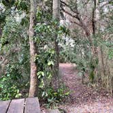 Review photo of Tomoka State Park Campground by Denise , January 6, 2022